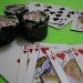 Overview Of Poker Bonus Codes for Beginners and Poker History