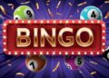 A Guide to Bingo Etiquette for New Online Players